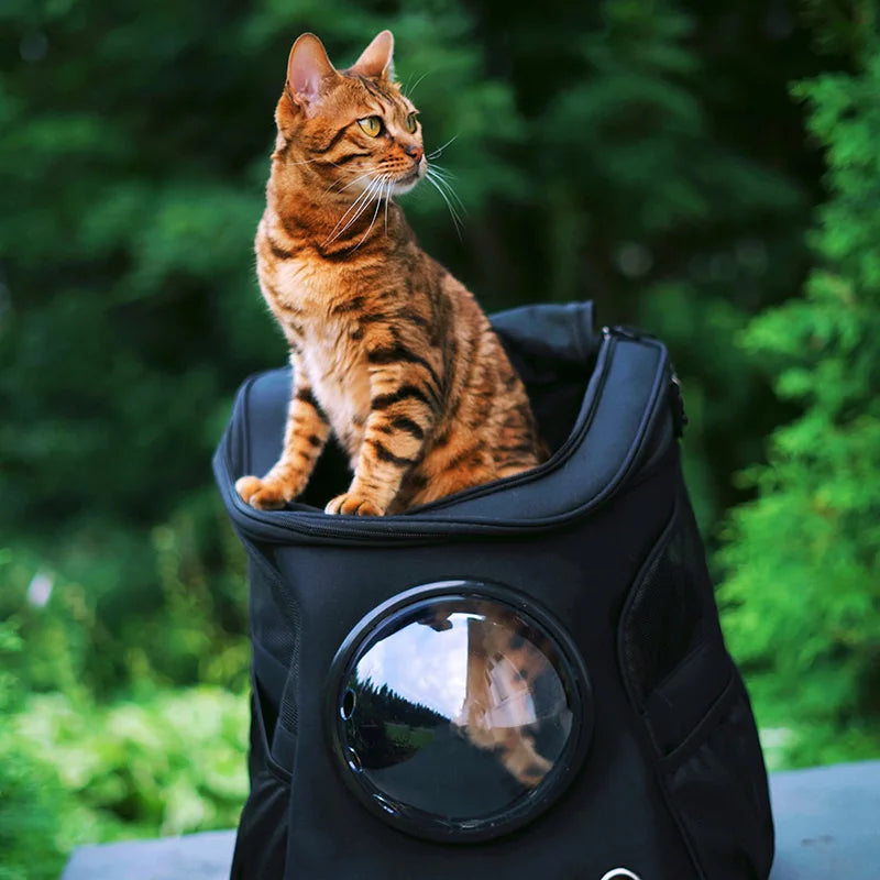 Cat Backpack Space Capsule